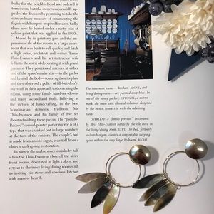 Earring-Shell Secret